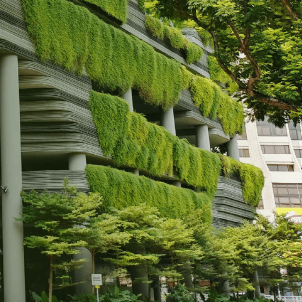 Reinventando las ciudades: Infraestruras verdes para un futuro sostenible